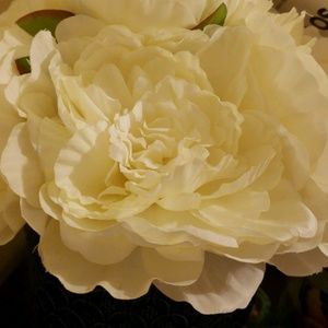 Meet your Posher, Carr